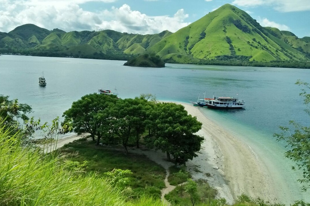 komodo tour